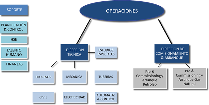 ESQUEMA ORGANIZACIONAL